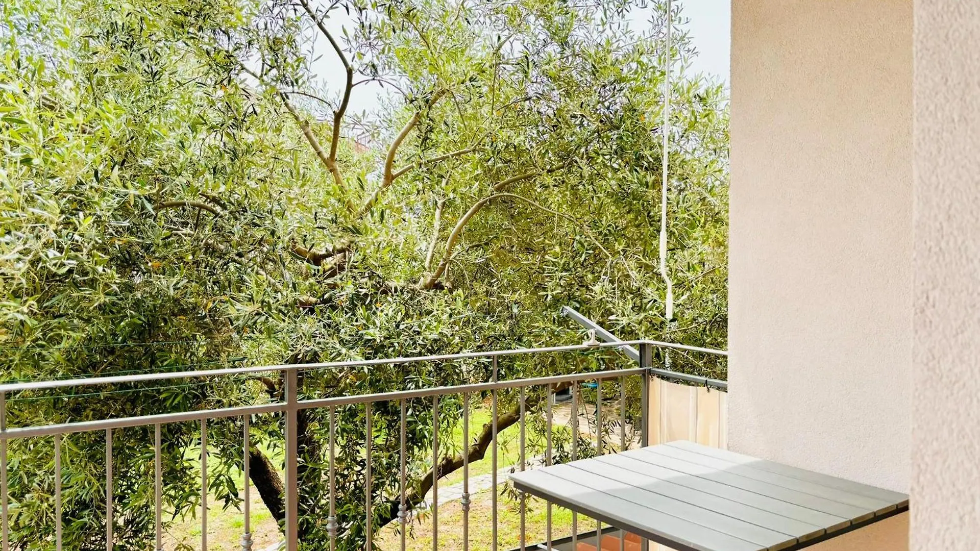 Apartment Oliva contacts
